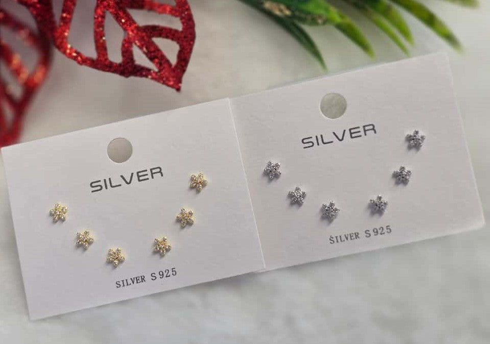 STEW-2489 (Silver Earrings)*