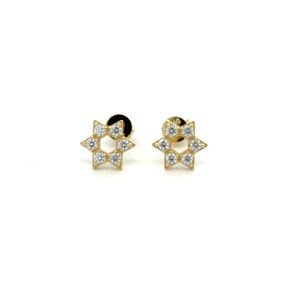 MEW-664 * (Moissanite Stone Earrings)