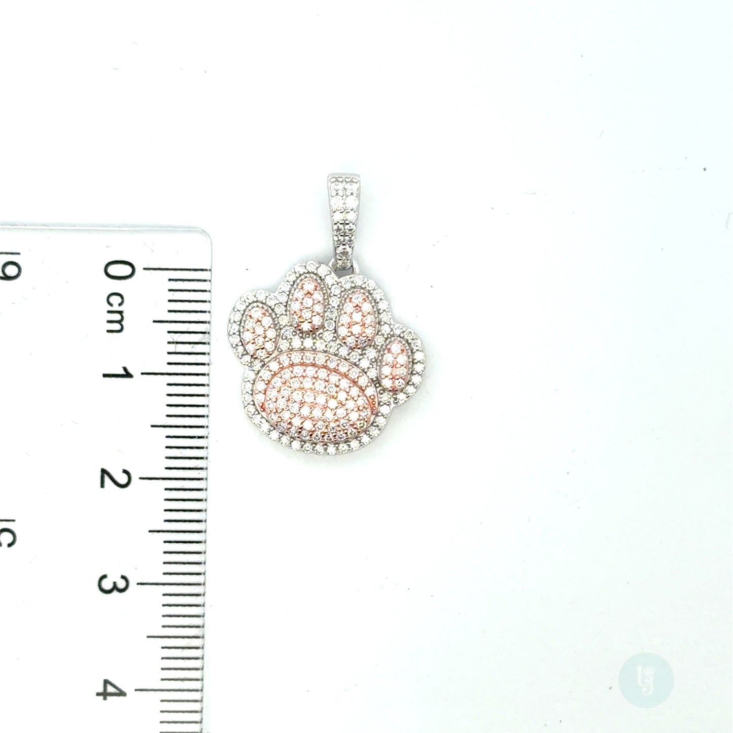 MP-39 (Moissanite  Paw🐾  Pendant)