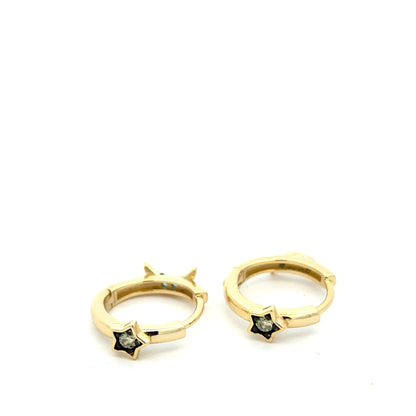 STEW-2412 (Earrings)