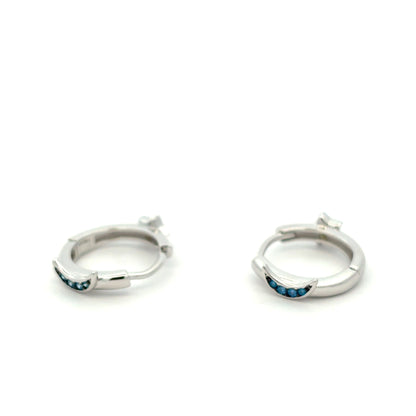 STEW-2412 (Earrings)
