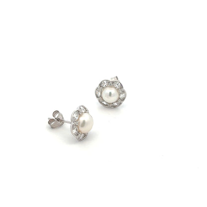 STEW-2490 (Silver Earrings)