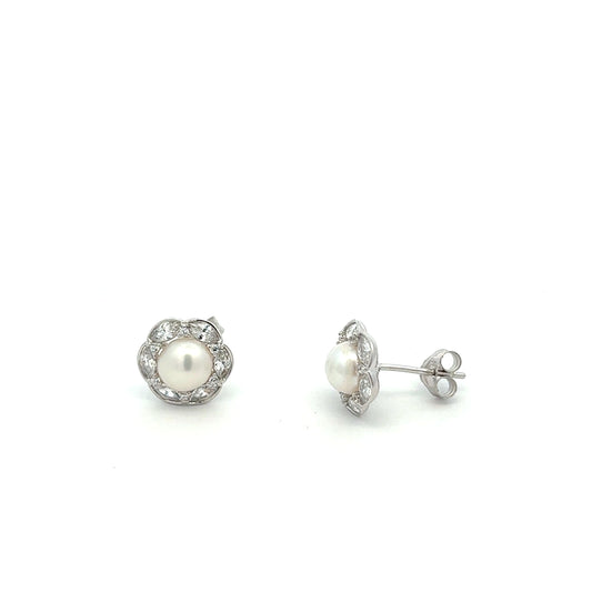 STEW-2490 (Silver Earrings)