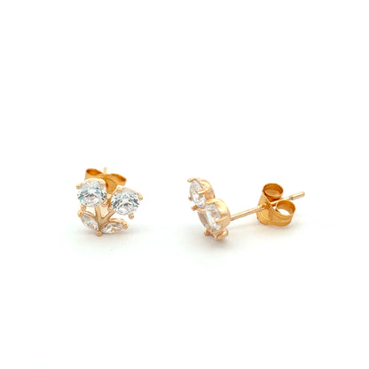 STEW-2505 (Earrings)