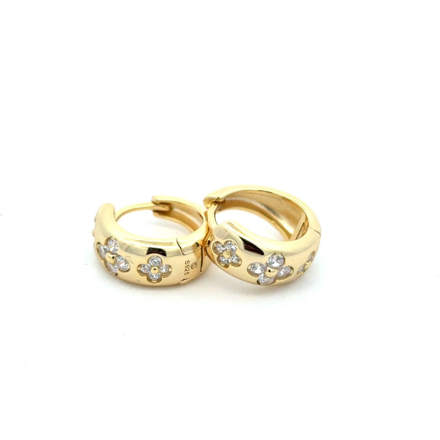 STEW-2540 * (Earrings)