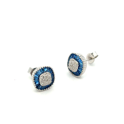 STEW-2582 * (Silver Earrings)