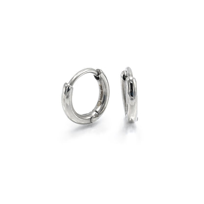 SEW-319 (Pendientes de aro de 2x8 mm)